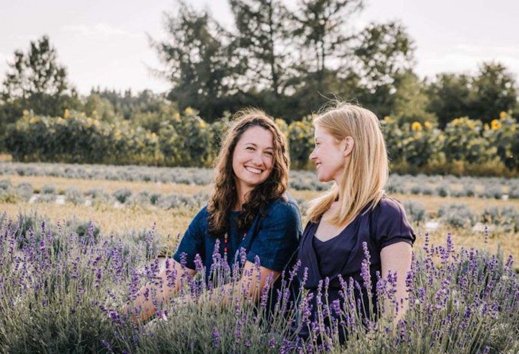 Ontario’s Newest Lavender Farm – Avalon Lavender Farm