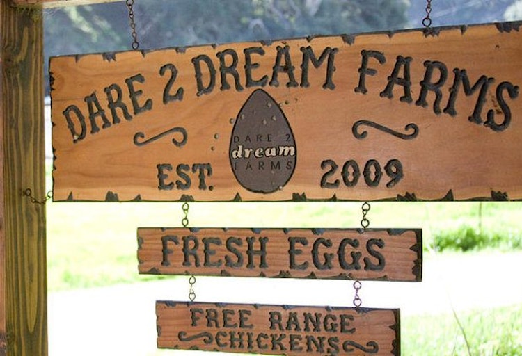Dare2Dream Farm