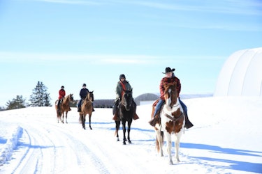 Thrilling Winter Activities for Adventure Seekers