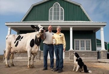 Farm-Fresh Milk Products at Sheldon Creek Dairy